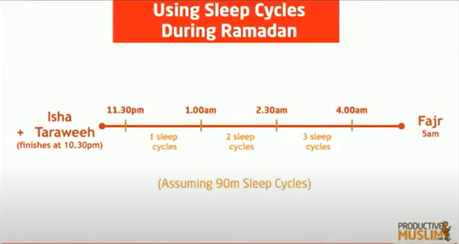 speeping cycle