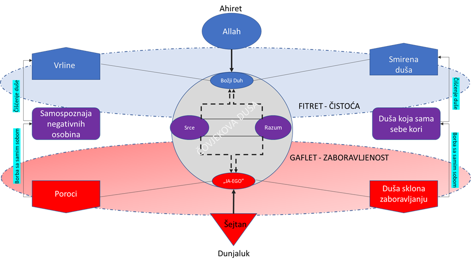 Islamic model cro